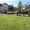 Kletterbaum Buche